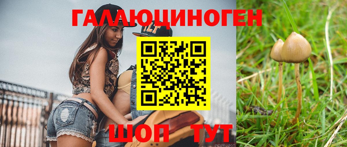 Галлюциногенные грибы мухоморы Еманжелинск